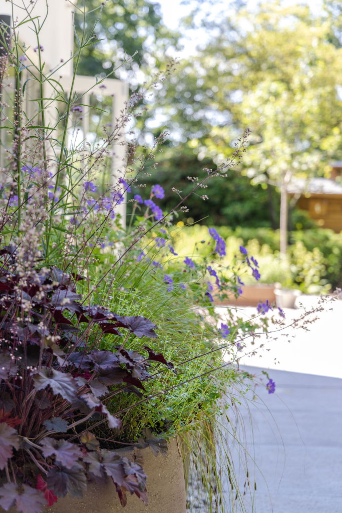 Planten in Atelier vierkant potten in tuin