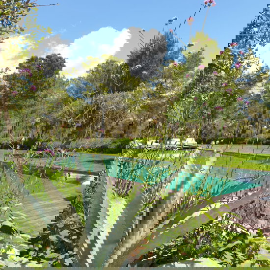 Een wellnesstuin van Van Raaijen Hoveniers.