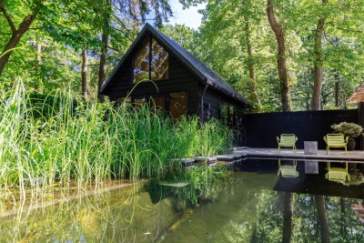 Een zwemvijver in een tuin.