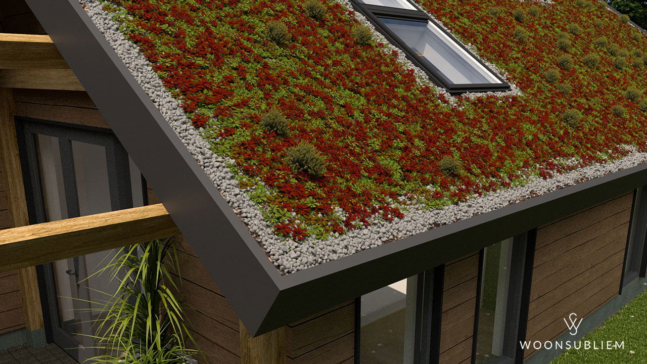 Woning-in-Denekamp-sedum-dak-detail
