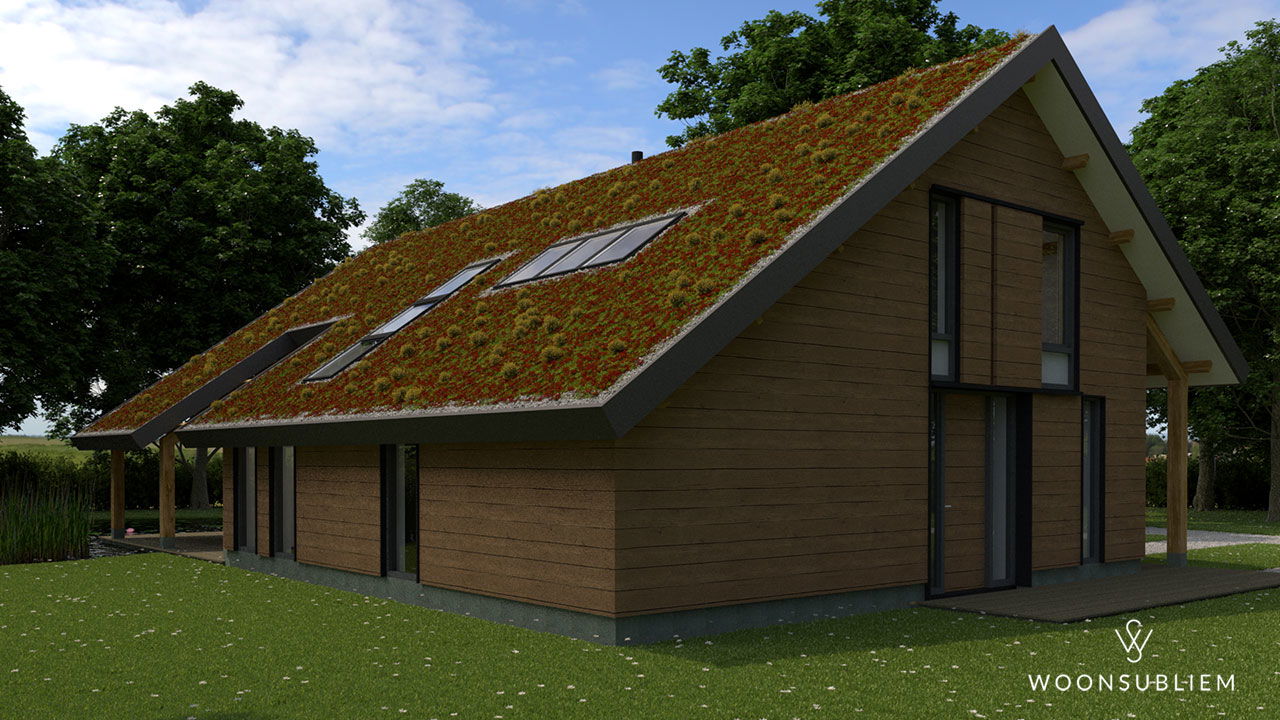 Woning-in-Denekamp-sedum-dak-zijkant